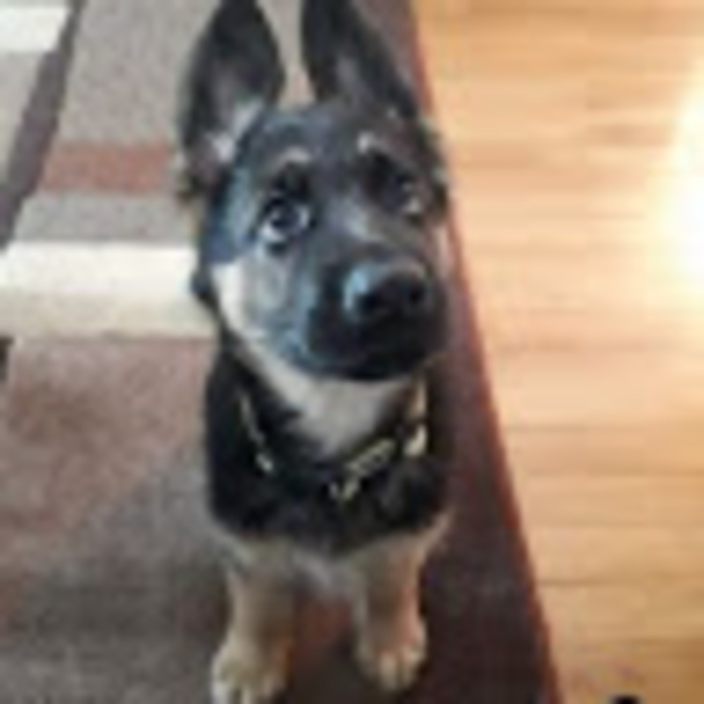 Meet your Posher, Christace